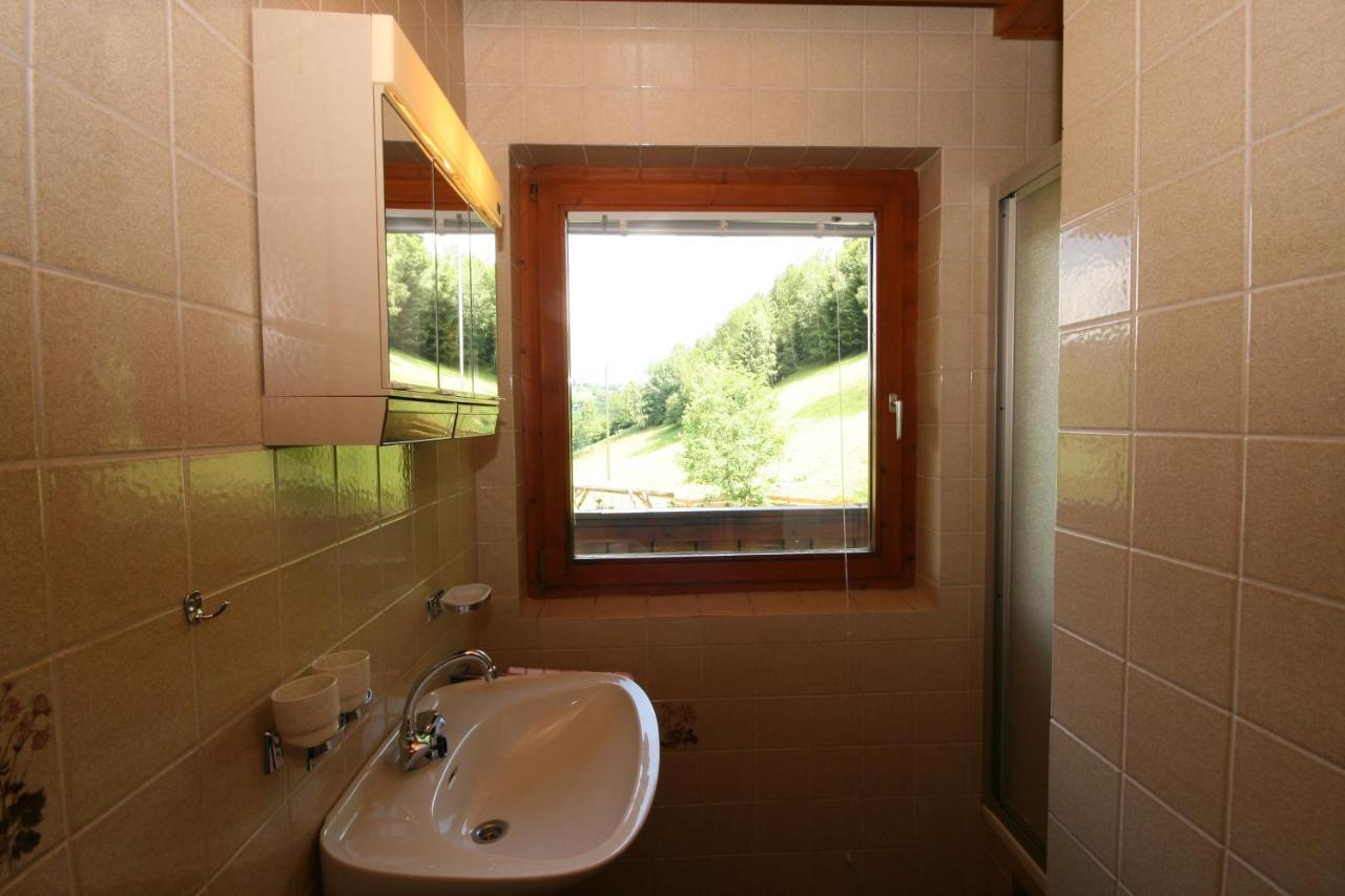 Ahlhof Villa Schladming Bagian luar foto