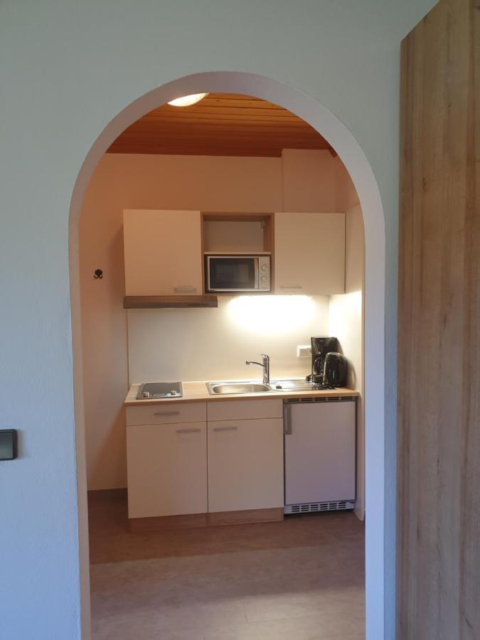 Ahlhof Villa Schladming Bagian luar foto