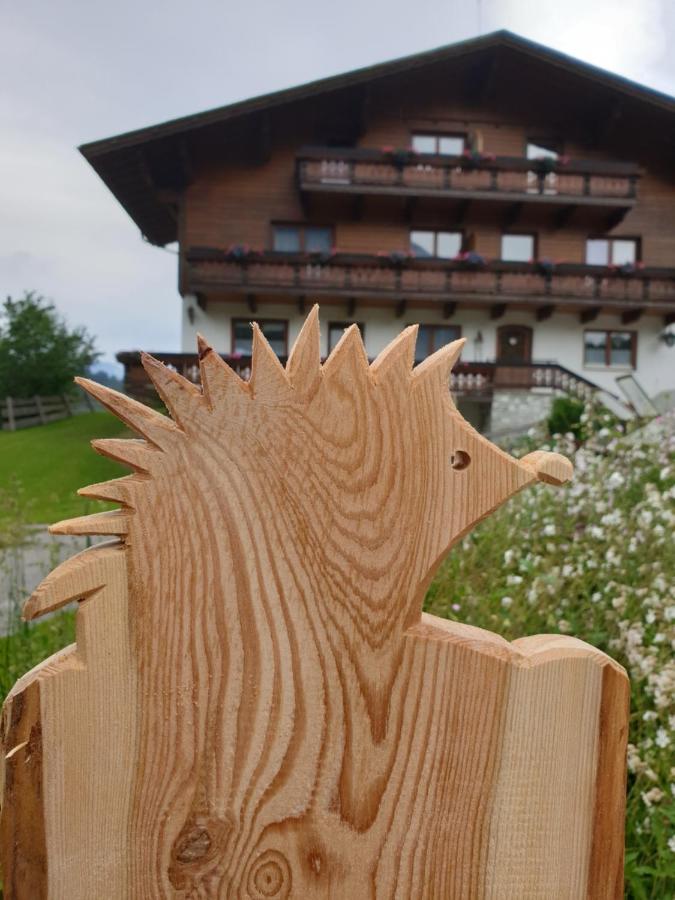Ahlhof Villa Schladming Bagian luar foto