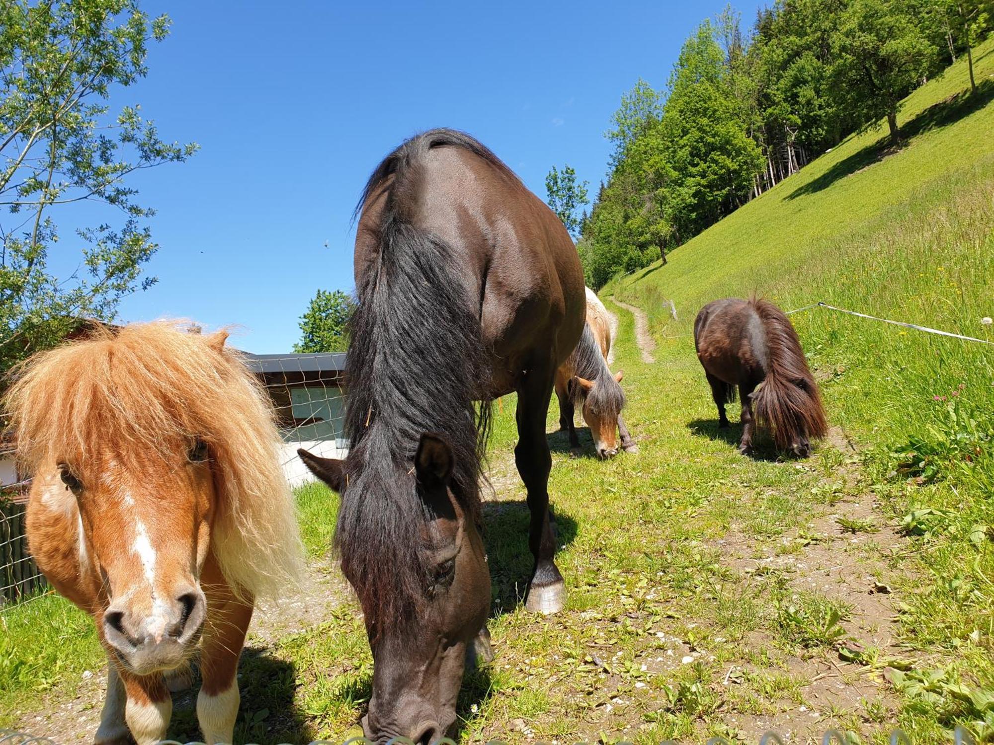 Ahlhof Villa Schladming Bagian luar foto